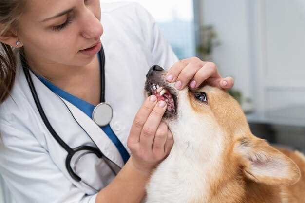 Dog Famotidine Dosage
