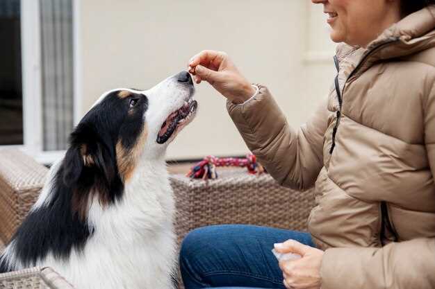 Benefits of Famotidine for Dogs