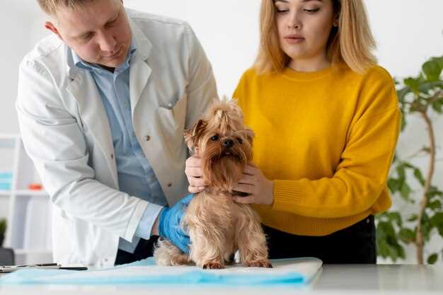 Benefits of Famotidine for Dogs