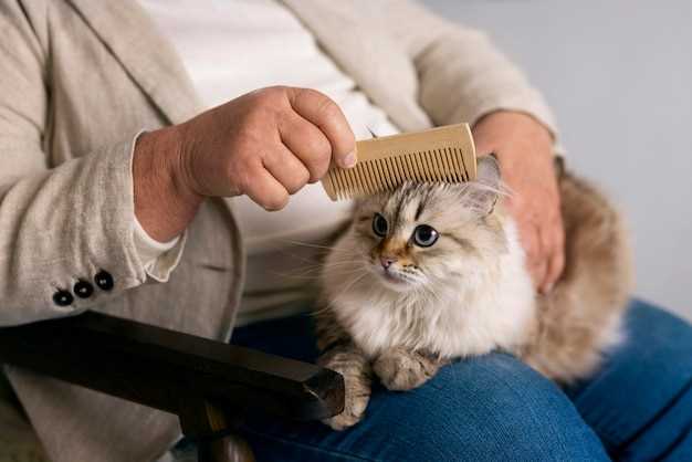 Common Symptoms in Cats