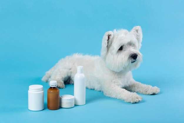Benefits of Liquid Famotidine for Dogs: