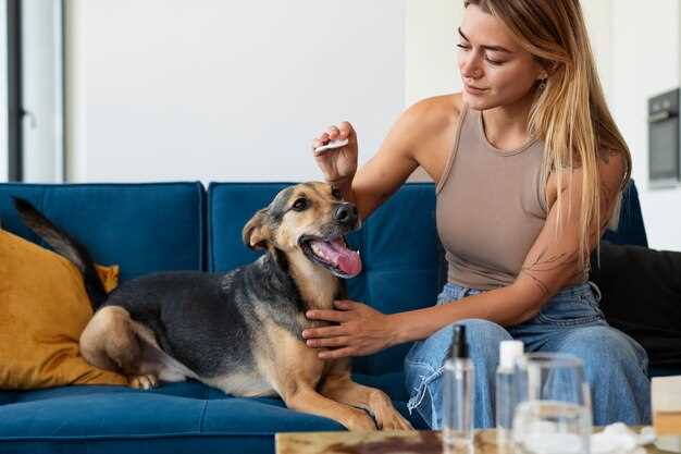 Recommended Dosage for Dogs
