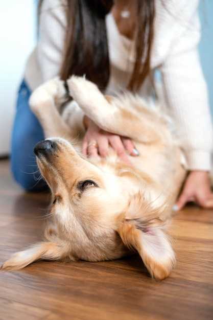 Benadryl and famotidine for dogs