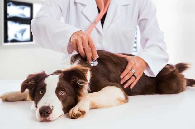 Dog famotidine dosage