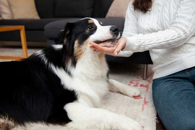 Dosage of famotidine in dogs