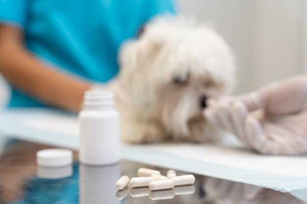 Famotidine 20mg for dogs