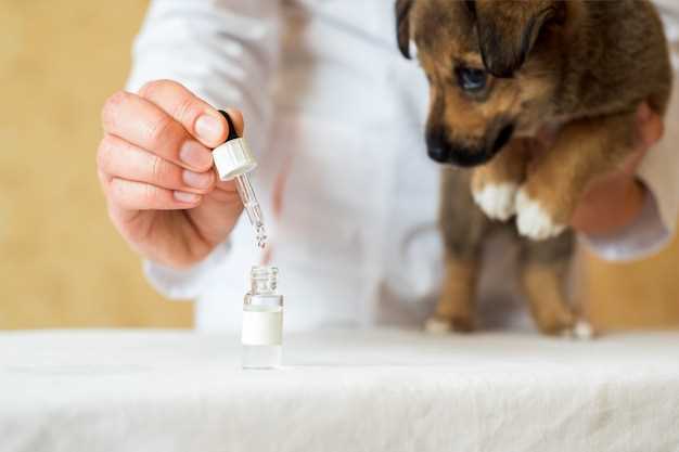 Famotidine dog dose