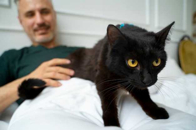 Famotidine dose for cats