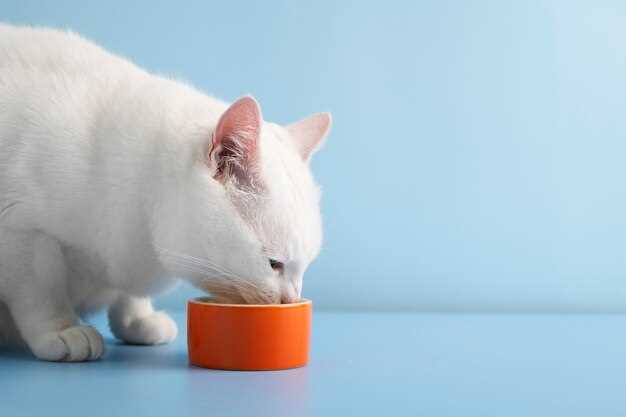 Famotidine for cats vomiting