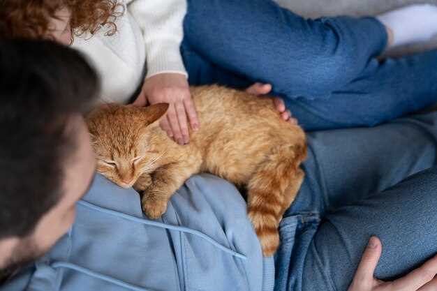 Famotidine side effects in cats