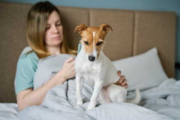 Side effects famotidine in dogs