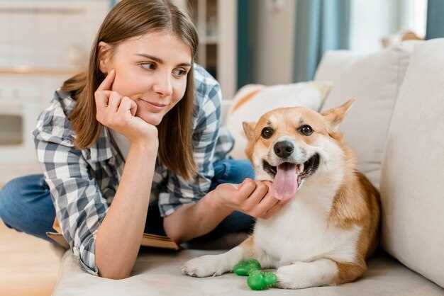 What is famotidine 20 mg for dogs